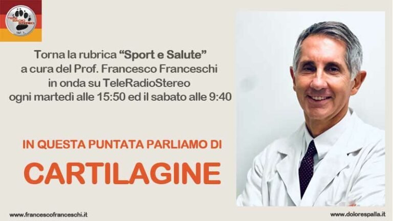 Cartilagine-locandina